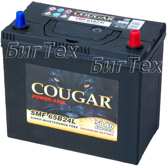 Аккумулятор автомобильный Cougar 65B24L 50 Ач...