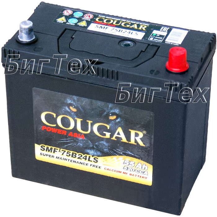 Аккумулятор автомобильный Cougar 75B24LS 55 Ач