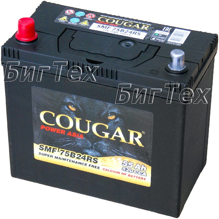 Аккумулятор автомобильный Cougar 75B24RS 55 Ач