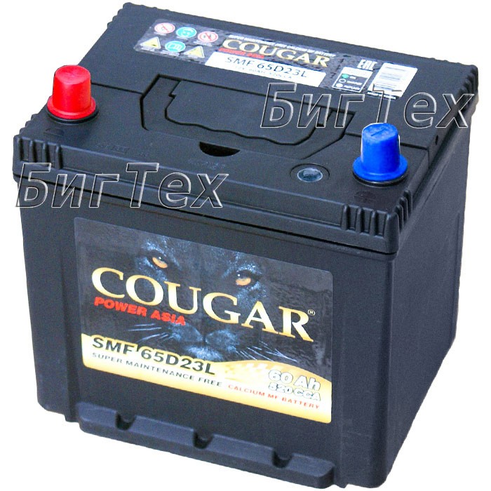 Аккумулятор автомобильный Cougar 65D23R 60 Ач
