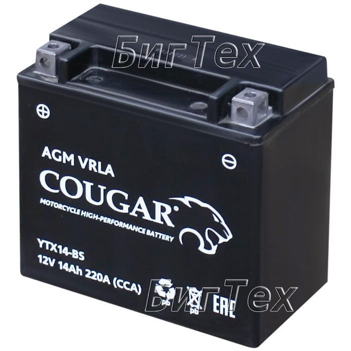 Мото аккумулятор COUGAR YTX14-BS AGM VRLA 14 Ач