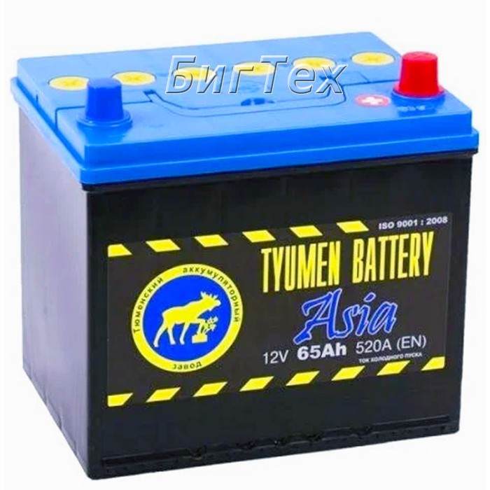 Аккумулятор автомобильный TYUMEN ASIA 65 Ач