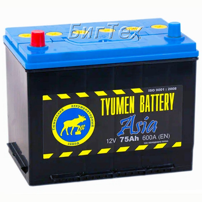 Аккумулятор автомобильный TYUMEN ASIA 6CT-75 75 Ач
