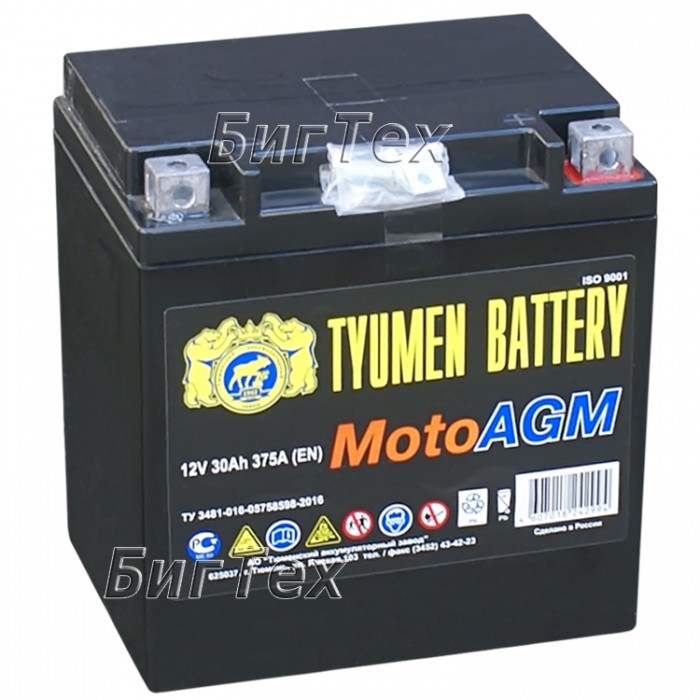 Мото аккумулятор TYUMEN MOTO AGM 30 Ач 375А...