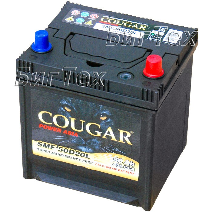 Аккумулятор автомобильный Cougar SMF 55D20AL 50...