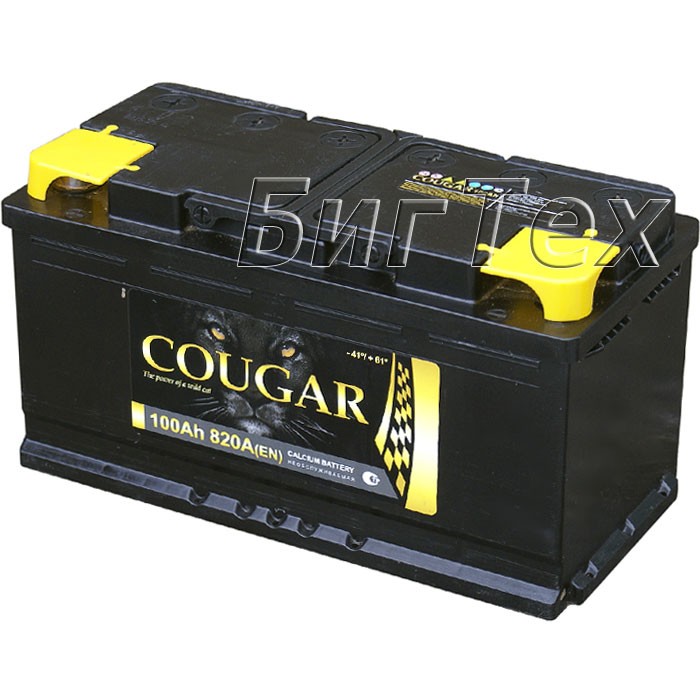 Аккумулятор автомобильный COUGAR 100 Ah (низкий)