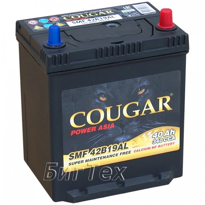 Аккумулятор автомобильный COUGAR SMF 42B19L 40...