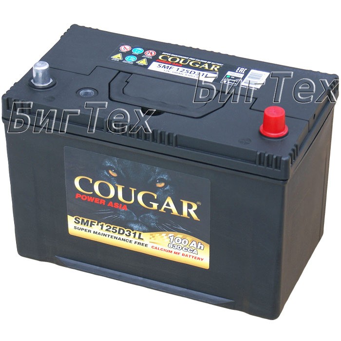 Аккумулятор автомобильный Cougar 125D31L 100 Ач