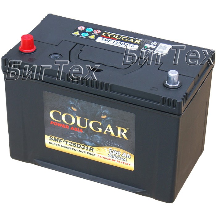 Аккумулятор автомобильный Cougar 125D31R 100 Ач
