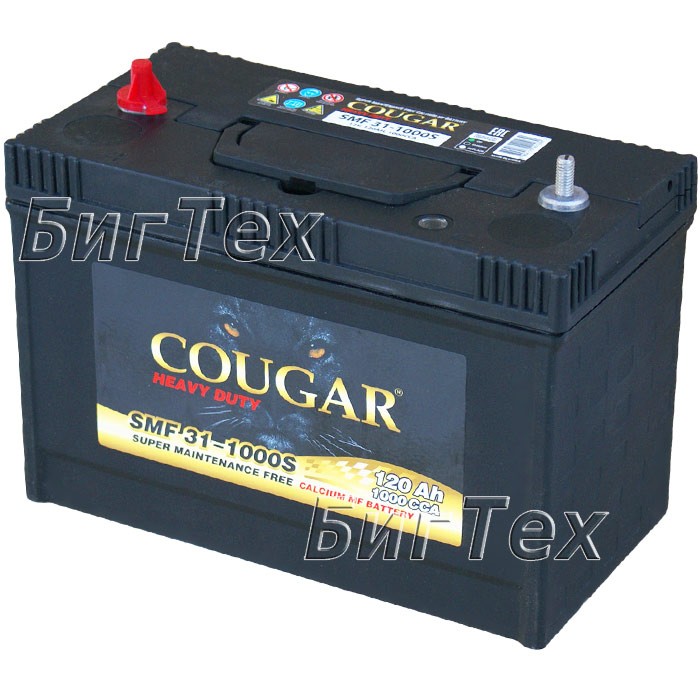 Аккумулятор COUGAR SMF 31-1000S 120 А/ч (клемма...
