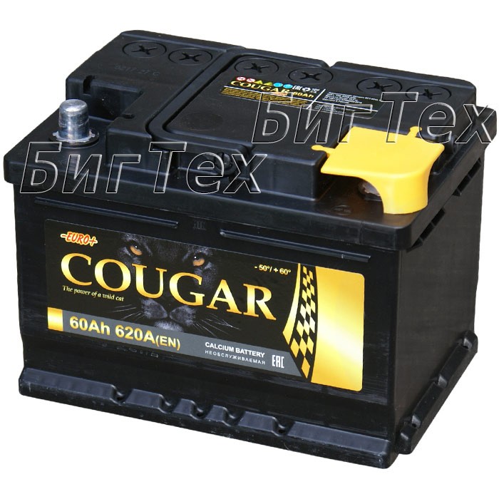 Аккумулятор автомобильный Cougar 60 Ач (низкий)