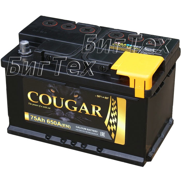 Аккумулятор автомобильный Cougar 75Ah (низкий)
