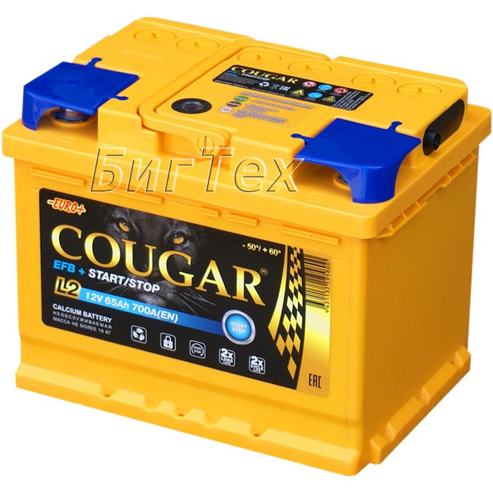 Аккумулятор автомобильный Cougar EFB 65Ah