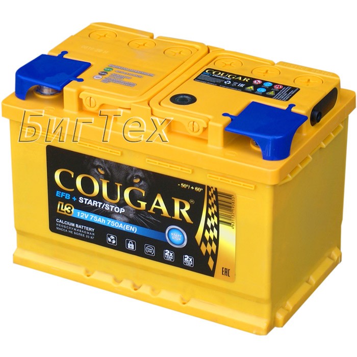 Аккумулятор автомобильный Cougar EFB 75 Ач