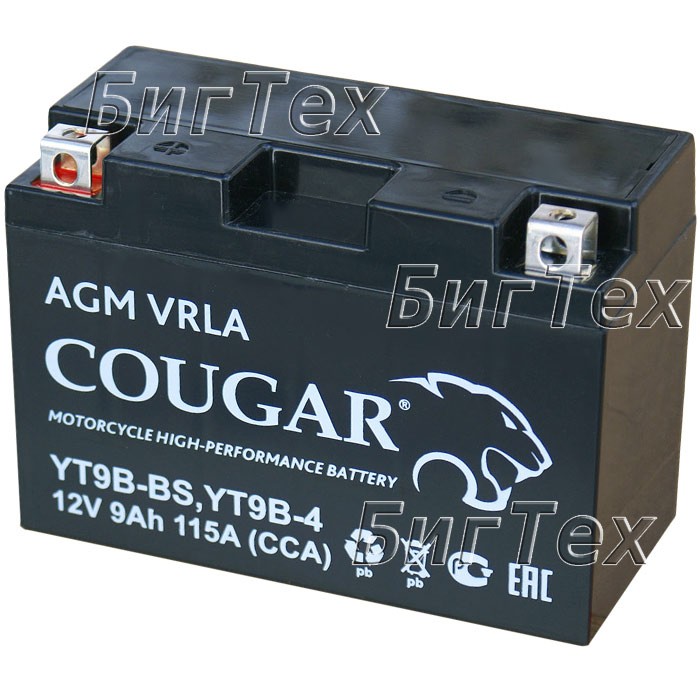 Мото аккумулятор COUGAR YT9B-BS AGM VRLA 9 Ач