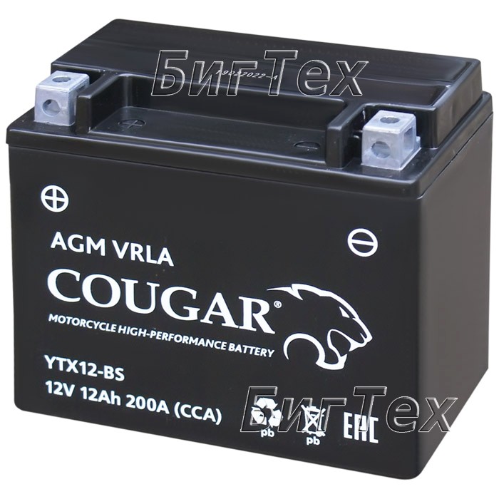 Мото аккумулятор COUGAR YTX12-BS AGM VRLA 12 Ач