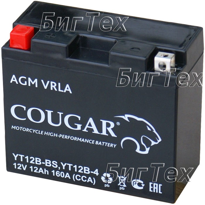 Мото аккумулятор COUGAR YT12B-BS AGM VRLA 12 Ач