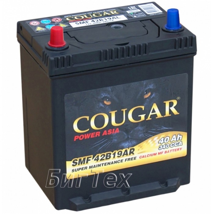 Аккумулятор автомобильный COUGAR SMF 42B19AR...