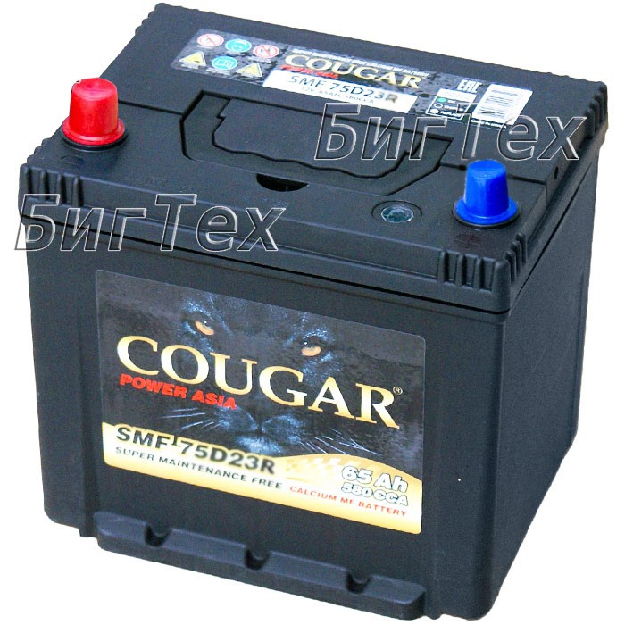 Аккумулятор автомобильный COUGAR SMF 80D23AR...
