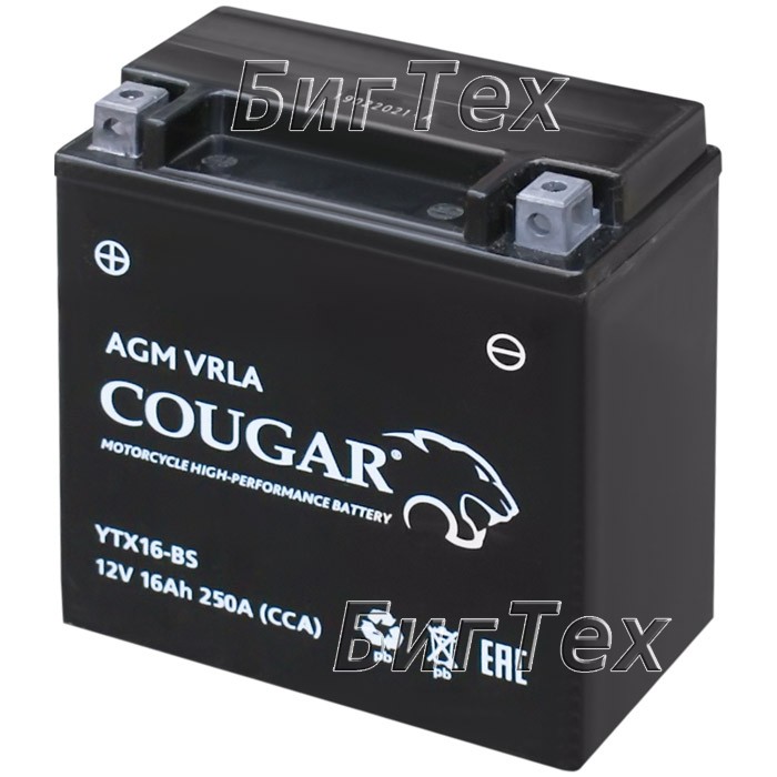 Мото аккумулятор COUGAR YTX16-BS AGM VRLA 16 Ач