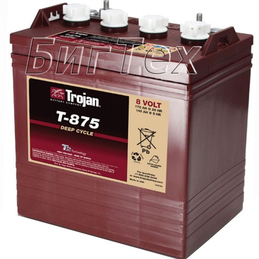 Аккумулятор тяговый Trojan T-875, 170 А/ч (8...