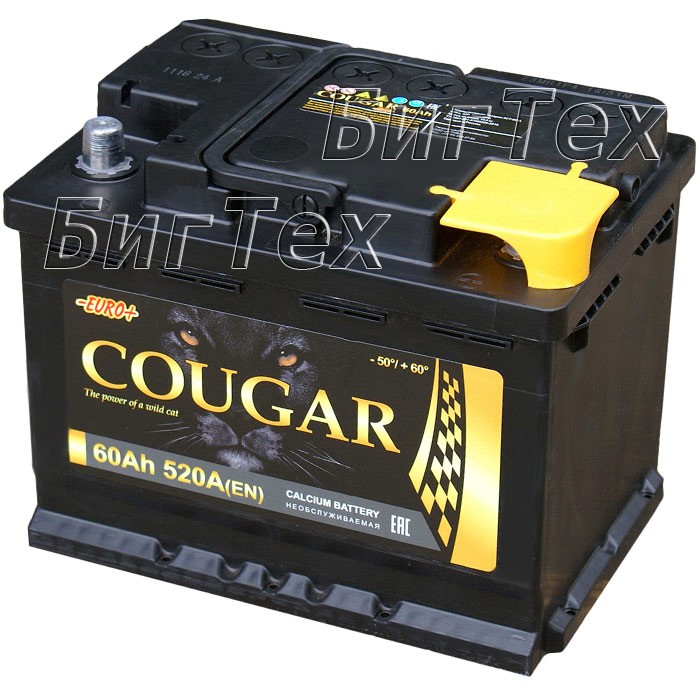 Аккумулятор автомобильный Cougar 60 Ач