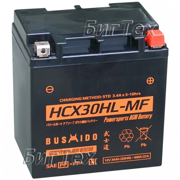 Мото аккумулятор BUSHIDO HCX30HL 34 Ач (YIX30L)...