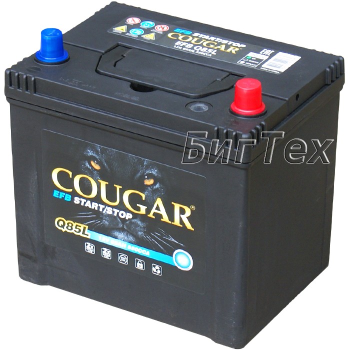 Аккумулятор автомобильный Cougar Q85L EFB...