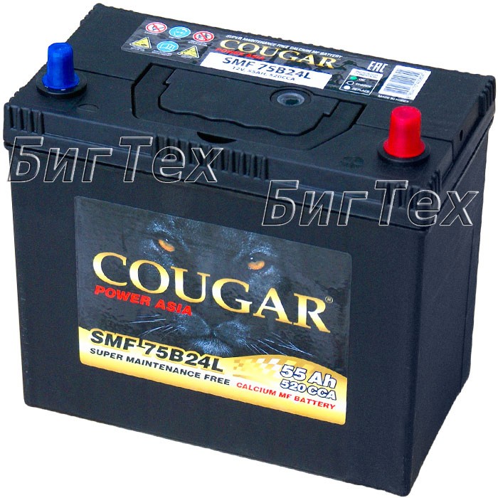 Аккумулятор автомобильный Cougar 75B24L 55 Ач...