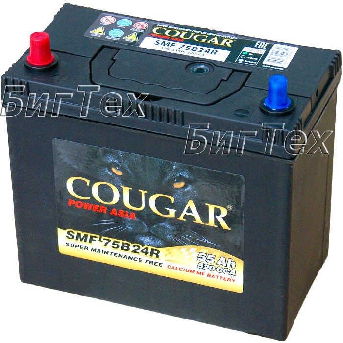 Аккумулятор автомобильный Cougar 75B24R 55 Ач...